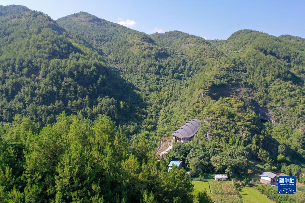 ag捕鱼视频直播